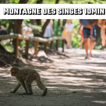 Un Air De Campagne